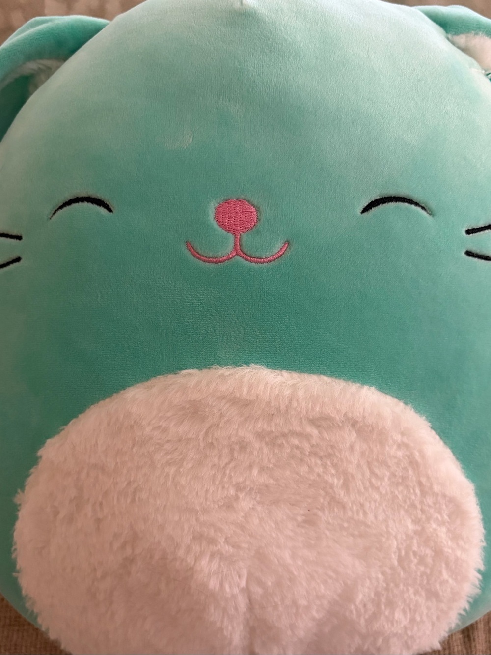 Squishmallows 12” Sammy Mint Bunny Rabbit with Fuzzy Tummy Ears NWT - Picture 4 of 8